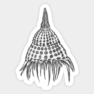 Lamprocyclas maritalis, radiolarian Sticker